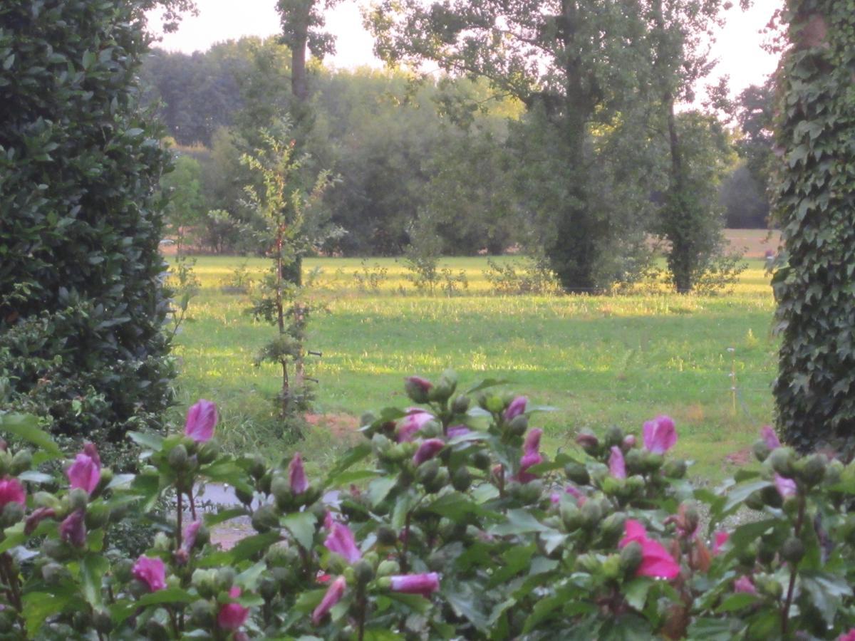 Bed and Breakfast Domaine De La Fontaine Chavagne Экстерьер фото